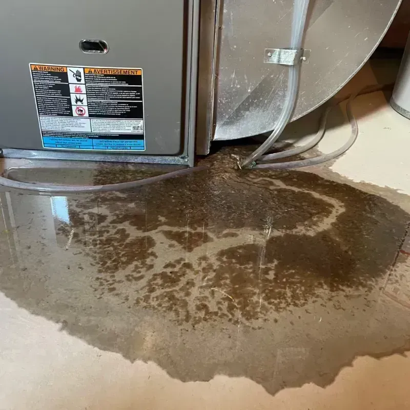 Appliance Leak Cleanup in Leadwood, MO